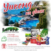 Розыгрыш уикенда в номере люкс отеля Palmira Palace