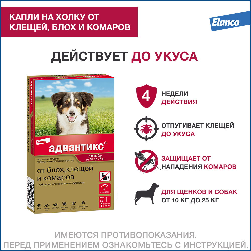 Адвантикс для собак (4 пипетки) 10-25кг фото, цены, купить
