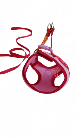 ZooStreet Шлея-Жилетка сетка трехслойная Малая на липучке + Поводок 10мм капрон фото, цены, купить