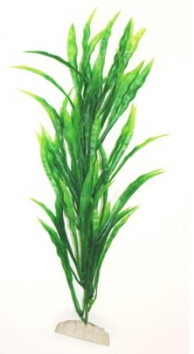 Растение "Лимонник" 20см (AP-102-20) фото, цены, купить