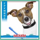 Новости  "Ласкавы"