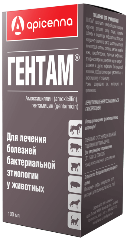 Гентам 100мл инъекционный фото, цены, купить