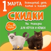 Всемирный  день котов и кошек 