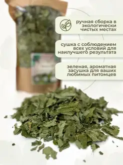 Bunny Hole Лист Смородины 100г  фото, цены, купить