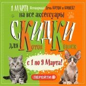Всемирный  день котов и кошек 