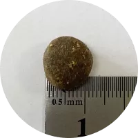 ZooRing Adult Dog для молодых и взрослых собак средних пород телятина, рис, яблоко 10кг фото, цены, купить