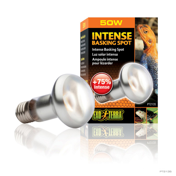Лампа для баскинга Intense basking spot  50 Вт. 63mm. PT2135 фото, цены, купить