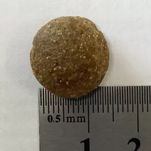 ZooRing Adult Dog  д/круп. и сред. собак Говядина/Рис/Яблоко 20кг фото, цены, купить