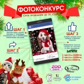 Фотоконкурс 