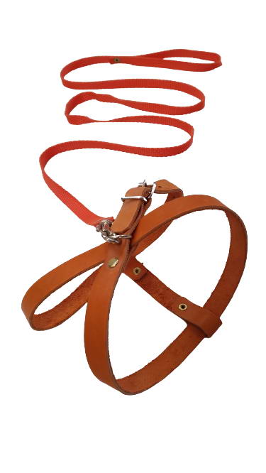 ZooStreet Шлея 15 кожа + Поводок 15 капрон с бубенчиком 120см фото, цены, купить