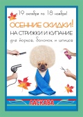 Осеннее предложение в груминг салоне Ласкава
