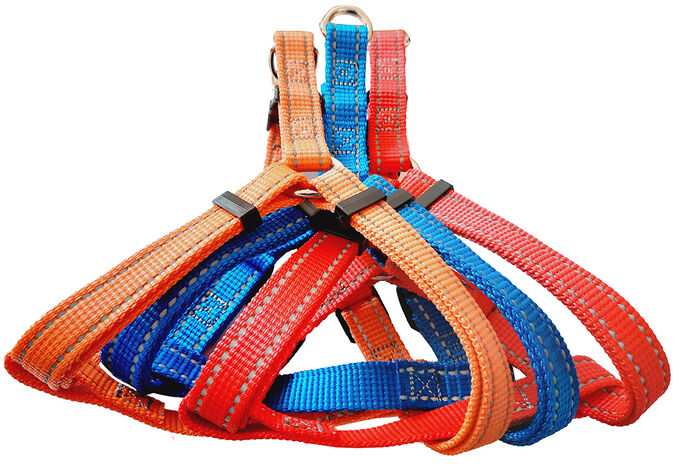 Шлея  капрон 20мм Светоотражающая фото, цены, купить