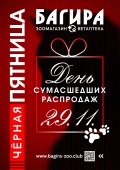 Черная Пятница в Багире