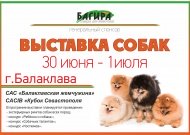 Выставка собак в г. Балаклаве