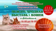 Выставка кошек в Севастополе