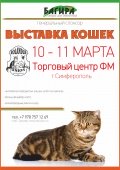 Выставка кошек в Торговом центре Фм