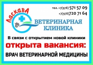 Внимание, открыта вакансия!