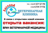 Внимание, открыта вакансия!