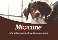 Miocane