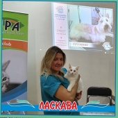 Фотоотчет с выставки кошек в г. Симферополе