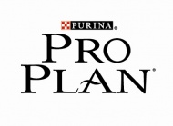 Уже в продаже корм PRO PLAN