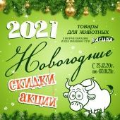 Новогодние акции в Багире!
