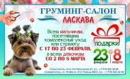 Новости груминг салона Ласкава