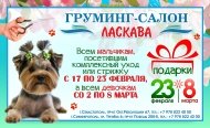 Новости груминг салона Ласкава