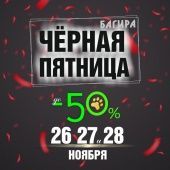  Черная Пятница в Багире 2021