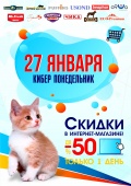 Кибер понедельник в интернет магазине Багира