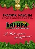 График работы в праздничные дни 2019-2020 года
