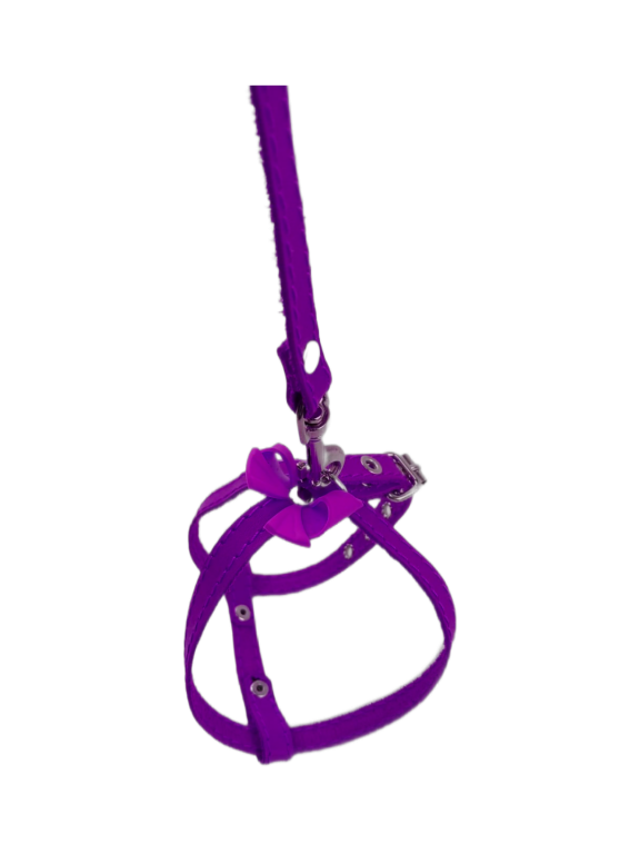 ZooStreet Шлея 10 кожа + Поводок 10 кожа с бантом 110см фото, цены, купить