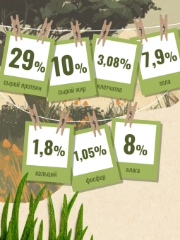 "Счастливый Кот" Птица для стерилизованных кошек 10кг фото, цены, купить