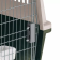 ATLAS 50 CLASSIC переноска  фото, цены, купить