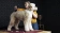 Машинка Moser MAX50 100-240V Animal Clipper фото Машинка Moser MAX50 100-240V Animal Clipper фото, цены, купить