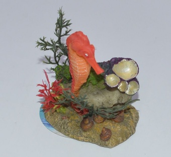 Грот "Морской конёк красный" фото, цены, купить