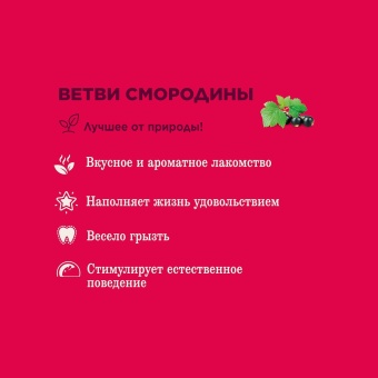 Little One лакомство для грызунов веточки смородины 50г фото