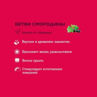 Little One лакомство для грызунов веточки смородины 50г фото