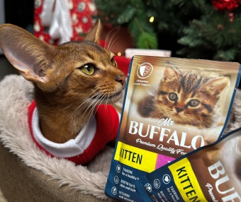 Mr.Buffalo пауч для котят в соусе Индейка на пару 85г фото, цены, купить