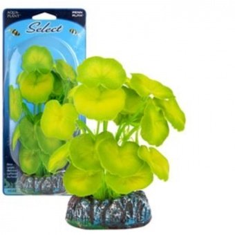 CARDAMINE Растение тканев 10см  салатовое  фото, цены, купить