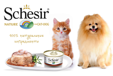 Schesir (Шезир)