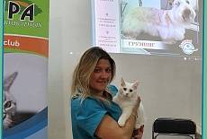 Фотоотчет с выставки кошек в г. Симферополе