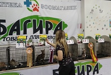 Выставка кошек в Торговом Центре ФМ в сентябре
