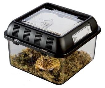 Контейнер для разведения Breeding Box малый 205-205-140мм фото, цены, купить