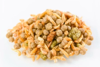 ТОРТИЛА М - корм для водяных  черепах 50 г фото, цены, купить