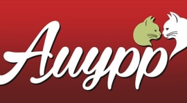 Амурр