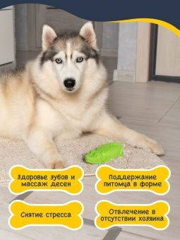 Крокодил FANCY фото, цены, купить