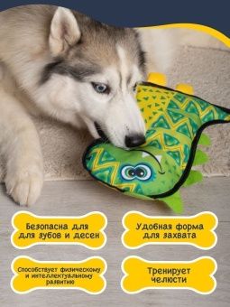 Динозавр FANCY фото, цены, купить