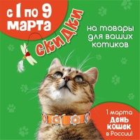 1 марта День кошек