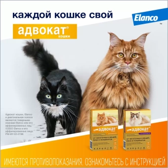 Адвокат для кошек ( 3пипетки) 1 пипетка до 4кг фото, цены, купить